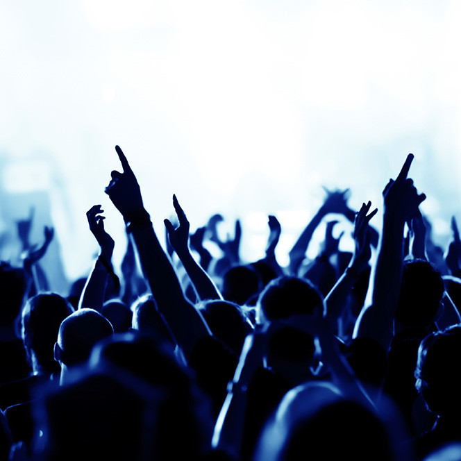 audience audience